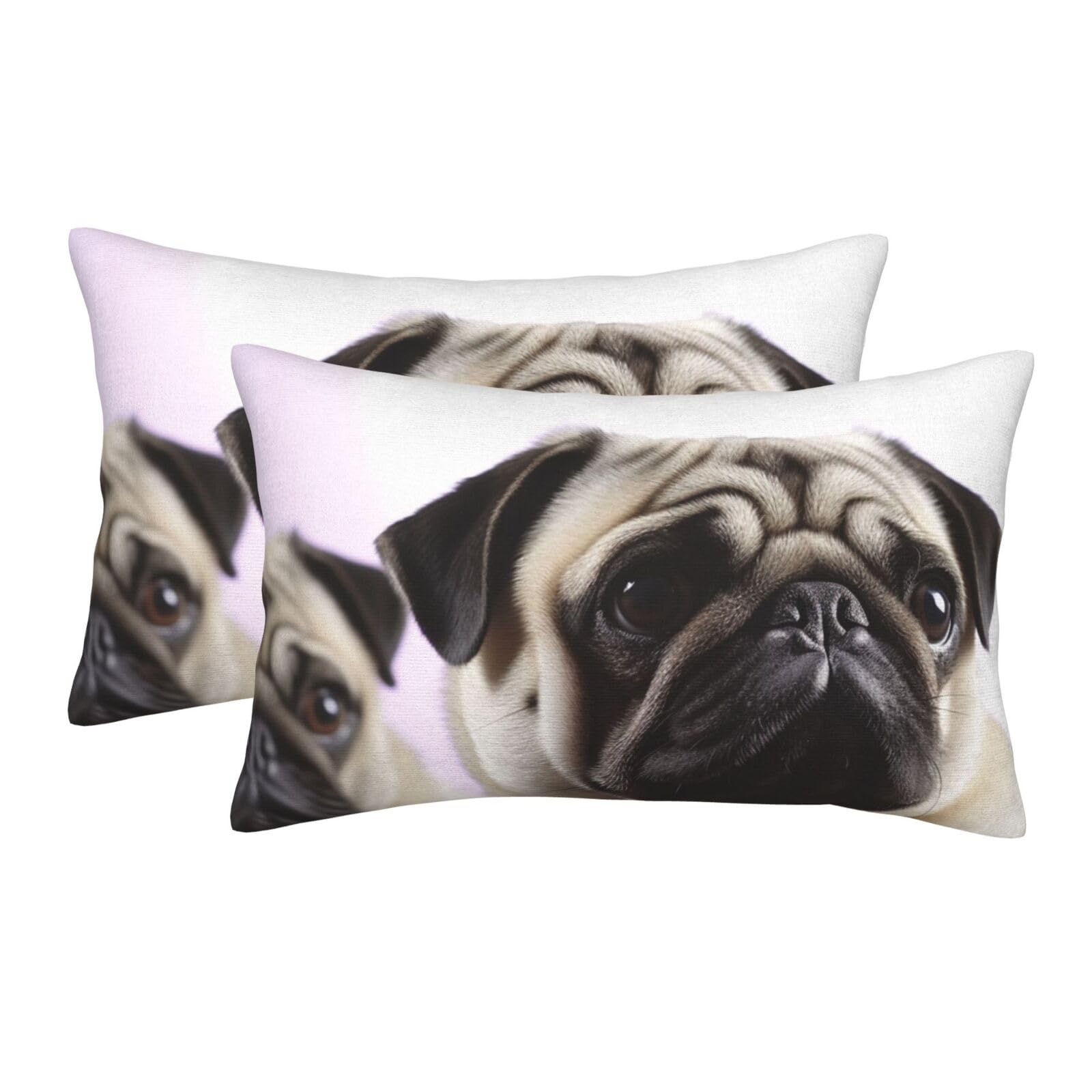 2 Pack Pillow Cases with Hidden Zipper, Soft Breathable Pillow Covers for Hair and Skin, Pug Dog Pillowcases 16"x24" Bed Pillow Protectors Cover for Sleeping Gifts