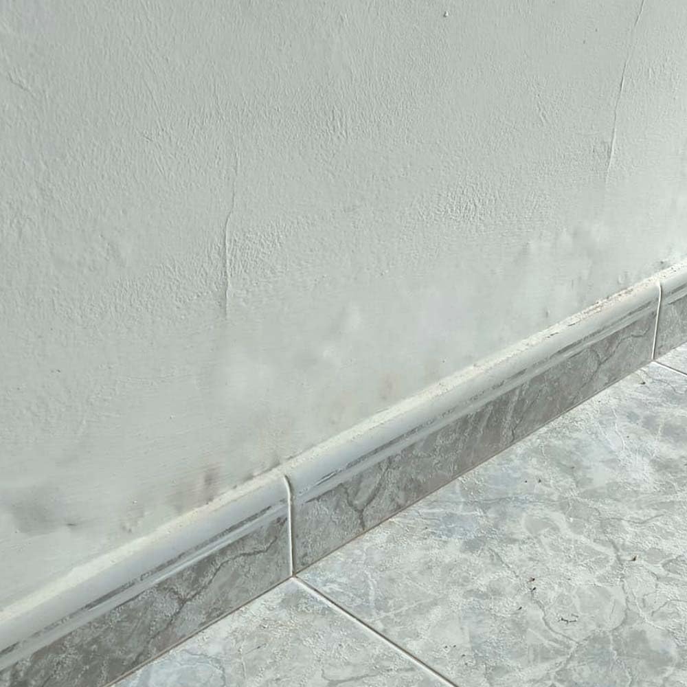 Capirsec 10L + 5 Cánulas. Barrera Líquida para Humedad por Capilaridad | Penetra en el muro y forma una barrera impermeable que bloquea la humedad ascendente y evita que vuelva a subir.