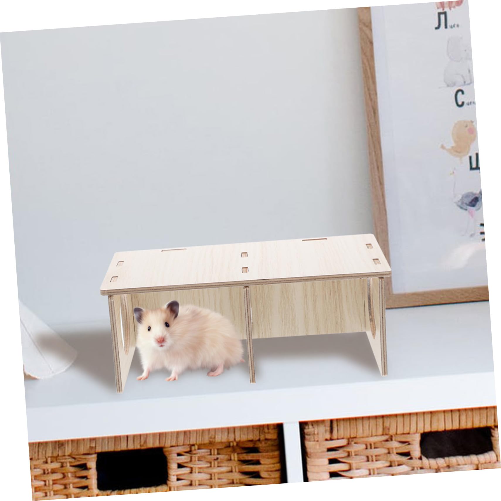 KOMBIUDA Casetta in Legno per Design Trasparente e Due Stanze Criceti