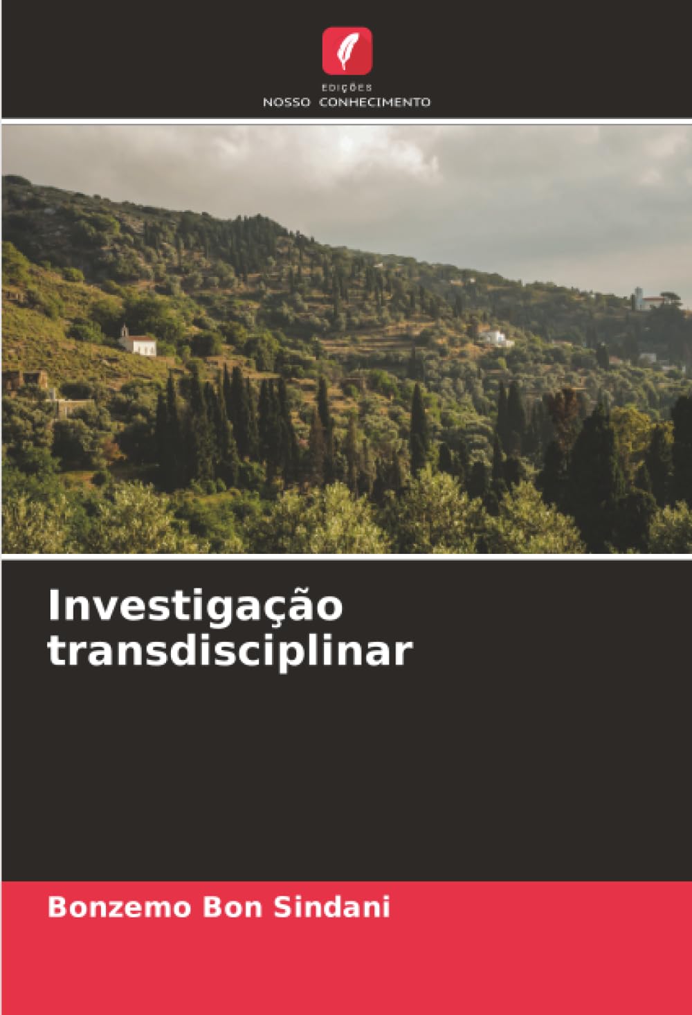 Investigação transdisciplinar