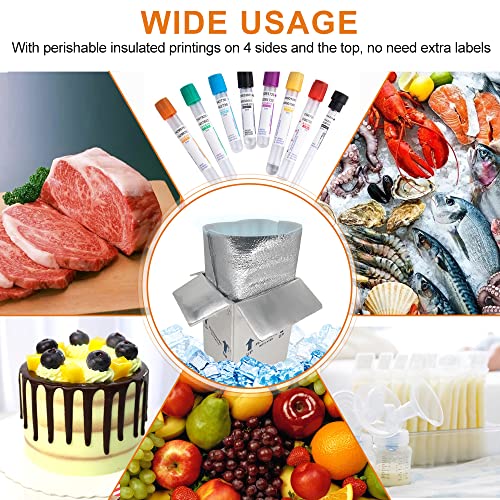 Ch-Box Thermo Chill Double Insulated Carton With Aluminum Foil Foam Bag Liner, 4 Pack 7'' X 6'' X 10'' Small Shipping Box Mailer, Perishable Shipper For Mailing, White (Tb7610L-4) #TOP2