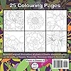 Colouring Book: Plants & Flowers 2: For adults and children who love bold, simplified drawings. (Plants & Flowers Colouring Book Series) #1