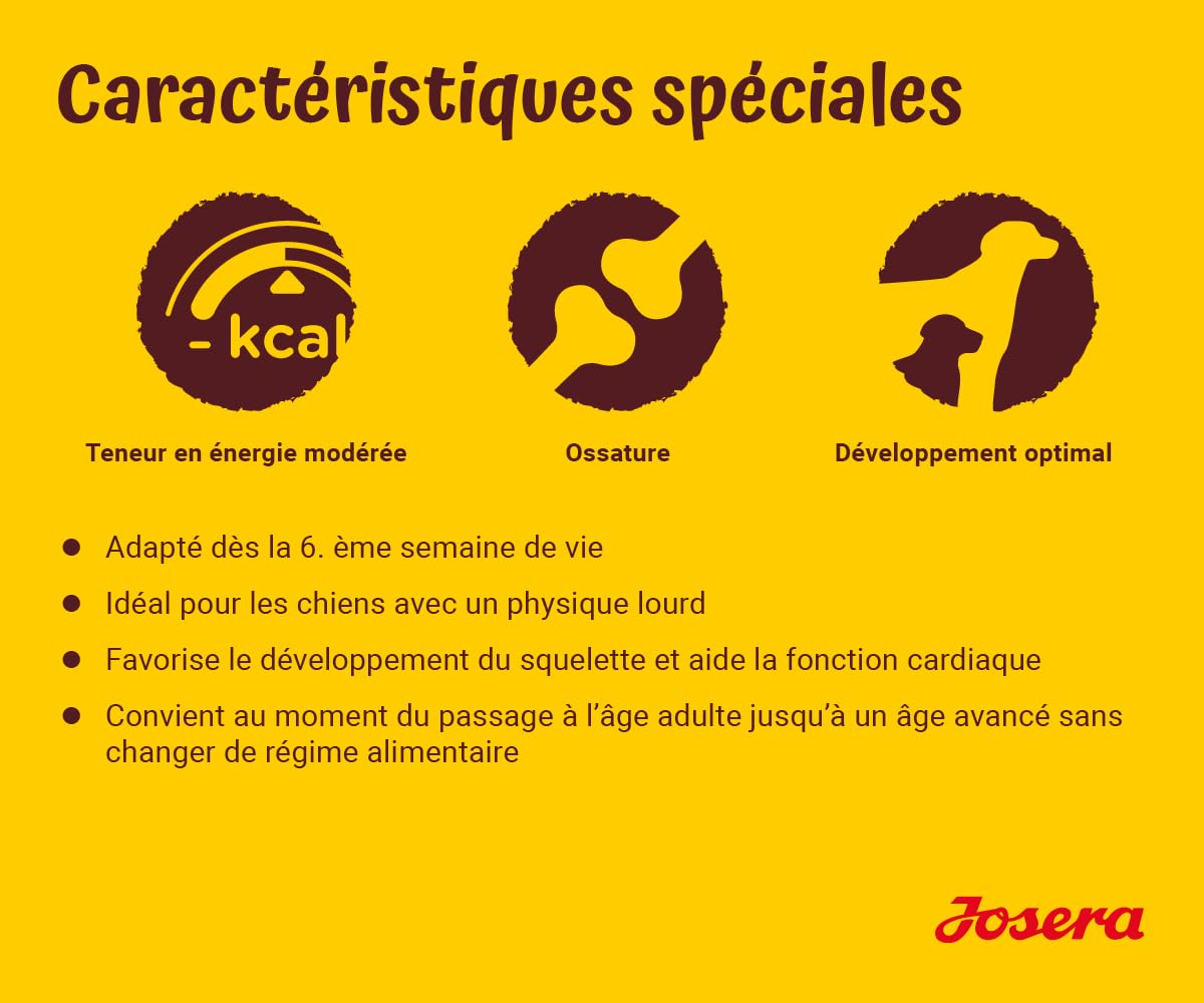 JOSERA Kids (1 x 12,5 kg) | Junior | Croquettes Premium pour Jeunes Chiens en Croissance | Poulet & Riz | pour Chiots de Grandes Races dès 6 semaines | sans blé | Nourriture pour Chien | Pack 1
