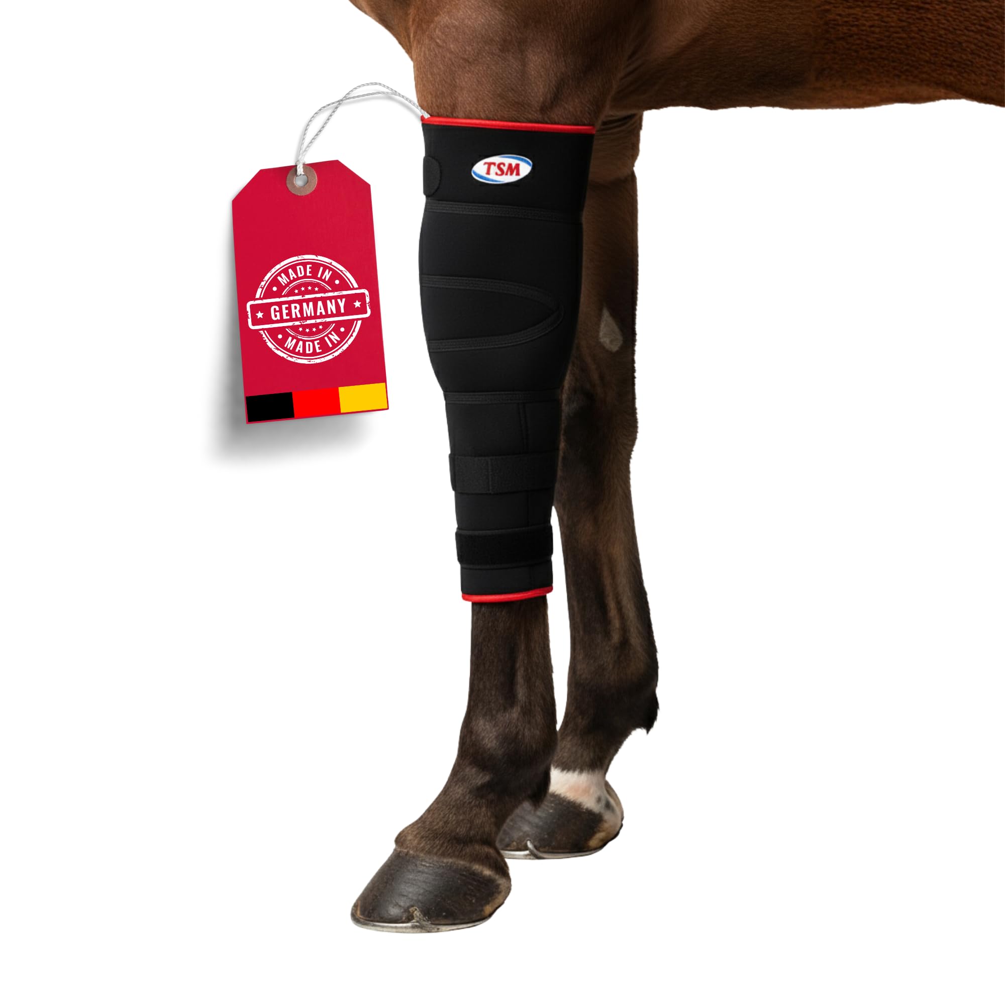 TSM Pferdebandage Vorderfußwurzelgelenk | Reha-Bandage aus Neopren | Schutz & Regeneration bei Arthrose & Entzündungen | Artikelnr 7201 | Made in Germany | Links, Größe S