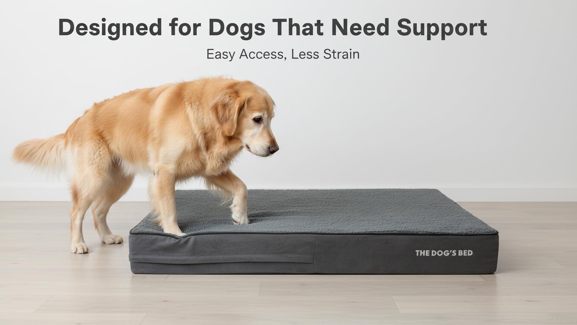 The Dog’s Bed Orthopaedic Memory Foam Dog Bed for XL Dogs, Waterproof Washable Cover, Anti-Slip Base, Calming Surface – CertiPUR-Certified Foam, Grey Plush, 15cm Thick — view 4