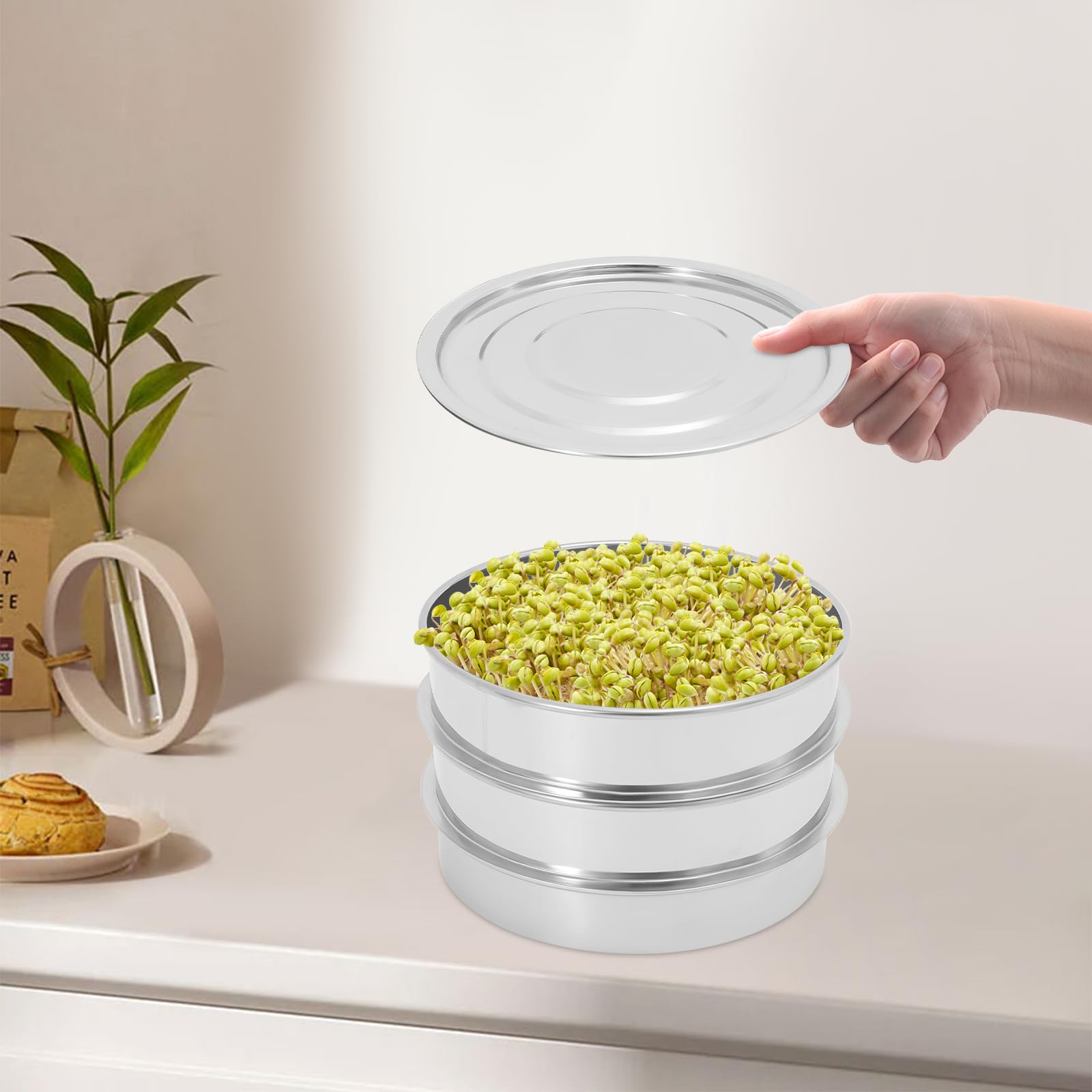 Bol de germination en acier inoxydable empilable pour planter différents types de graines et de haricots comme petits pois, argenté, 22 x 12,7 cm