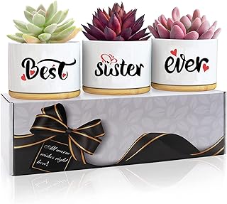 Birthday Gifts for Sister, Sister Gifts, Sister Birthday Gifts from Sister, Big Sister Gifts, Presents for Sister, Graduation Gifts for Sister, Garden Gifts for Sister Birthday Unique Succulent Pots