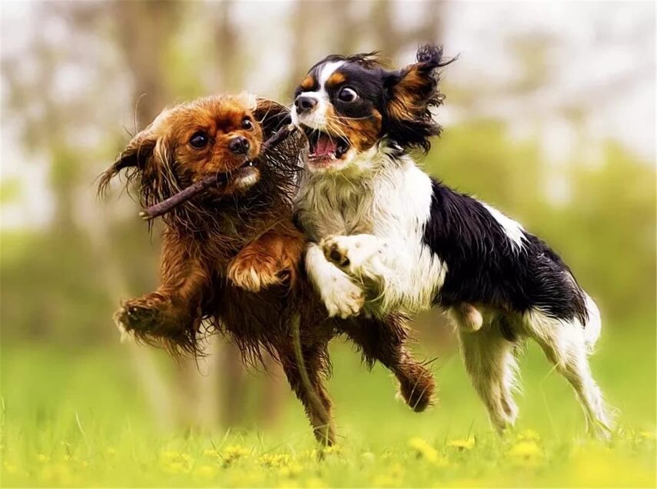 絵画キャバリアF6号『絆』キャンバス地にジークレイの