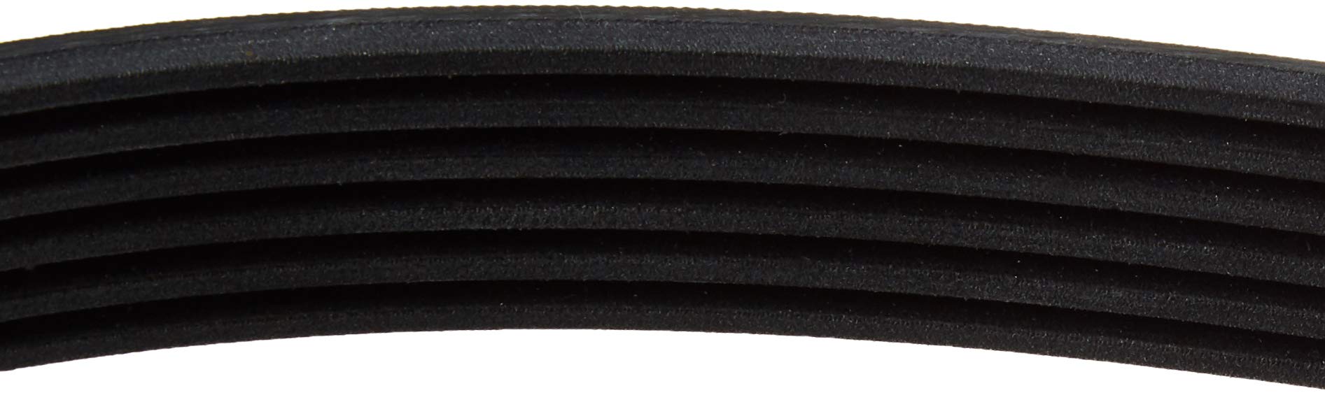 Continental Contitech 6PK1836 Courroie trapézoïdale à nervures