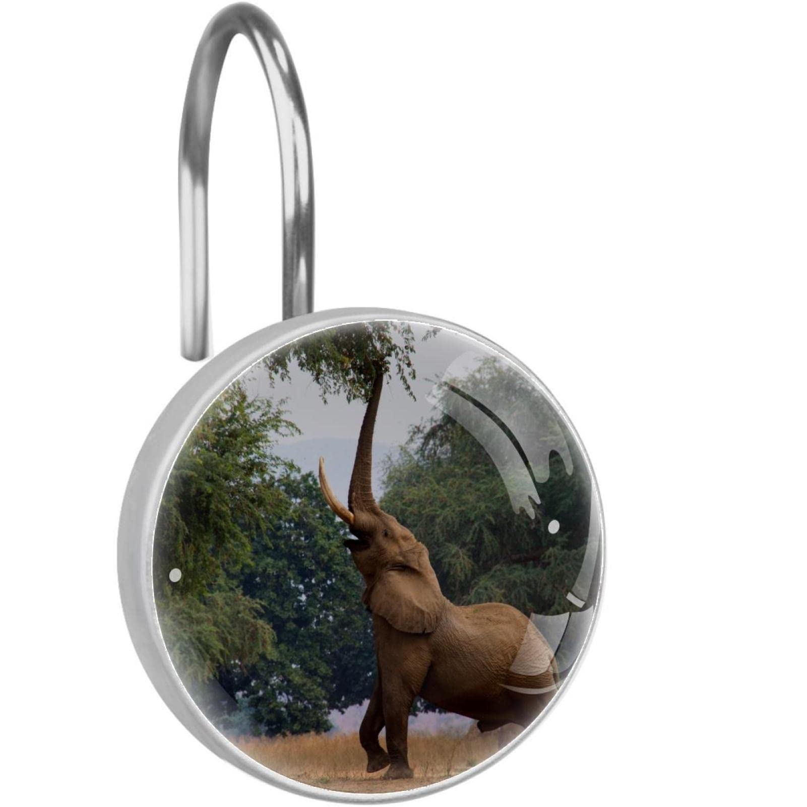 Anneaux de suspension rideau de douche design gousses africaines sauvages