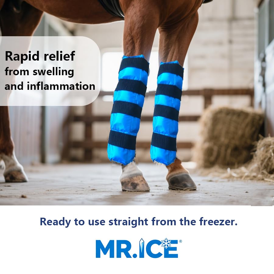 Horse Ice Boots - Reusable Gel Ice Pack for Horses | Cooling Leg Wraps for Hock, Knee, Ankle & Hooves | Horse Supplies & Care Gift Ideas - 1 Pair,: Blue