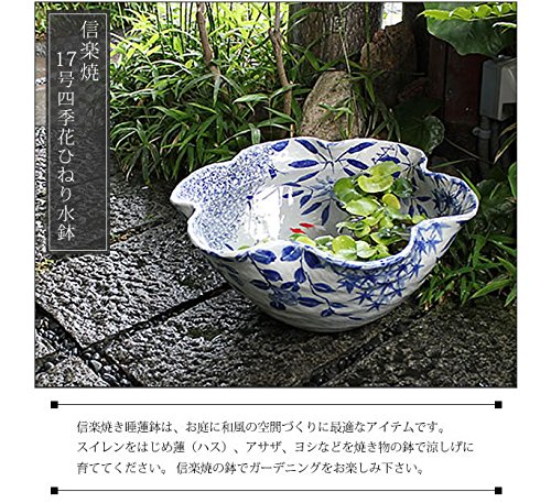 信楽焼 / 睡蓮鉢 Amazon.co.jp: 信楽焼 17号焦げひねりすいれん鉢 睡蓮鉢