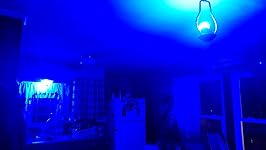 Review Image by Marissa smith Marissa smith