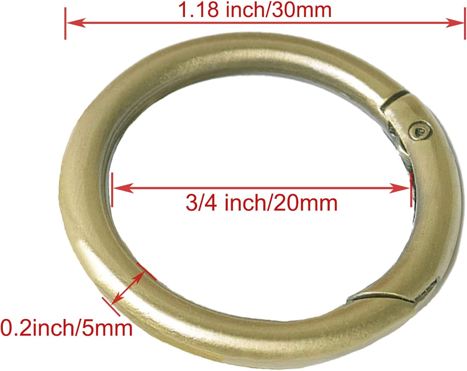 3/4 inch Spring O Ring Round Carabine - Image 4