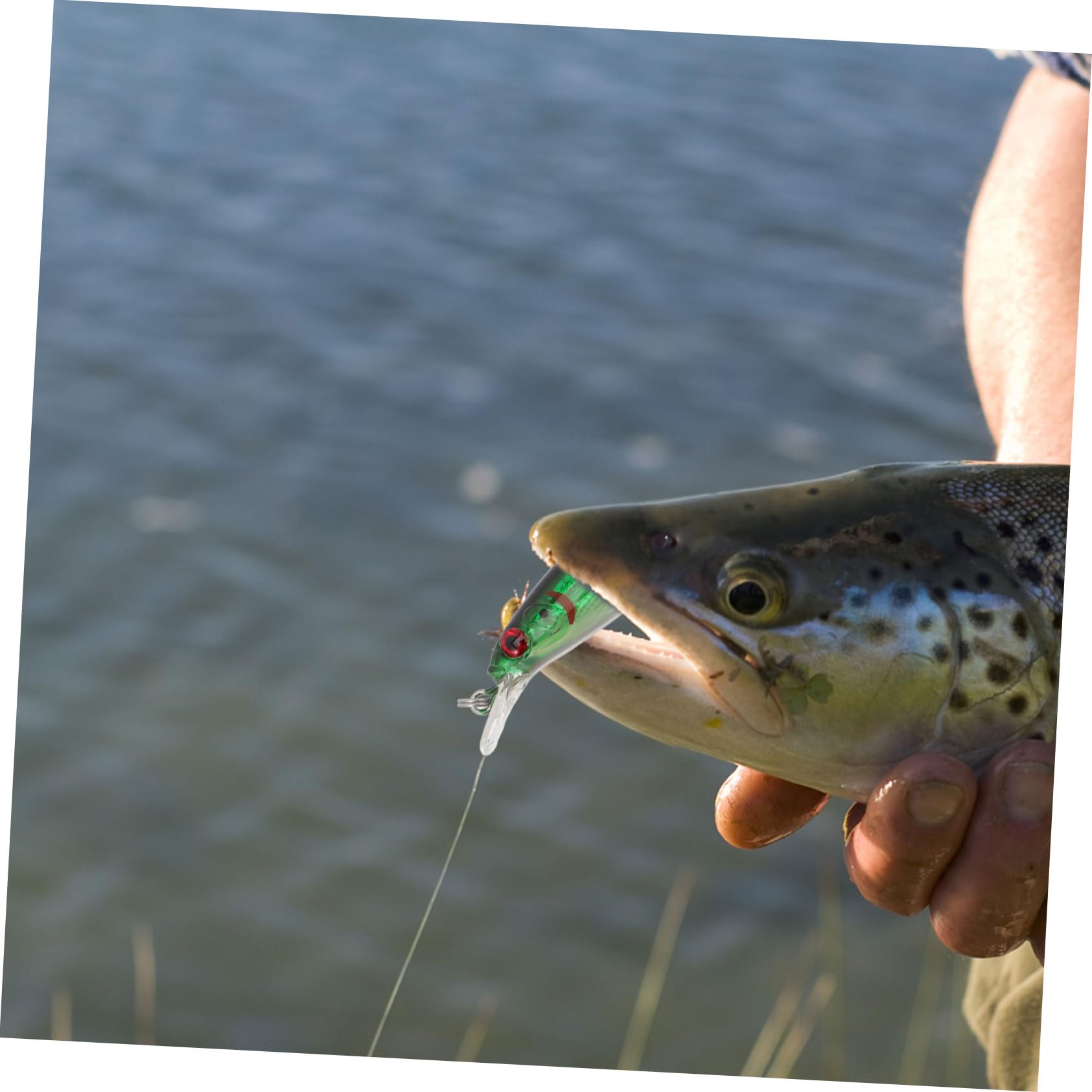 Mipcase 30 Pz Esca Finta Luya Piccole Esche Affondanti Esca Dura Fornitura di Pesca Esca per Pescare Esca per Pesci in Metallo Esca per Pesciolini Piccolo ABS 8 g Artificiale Attrezzatura
