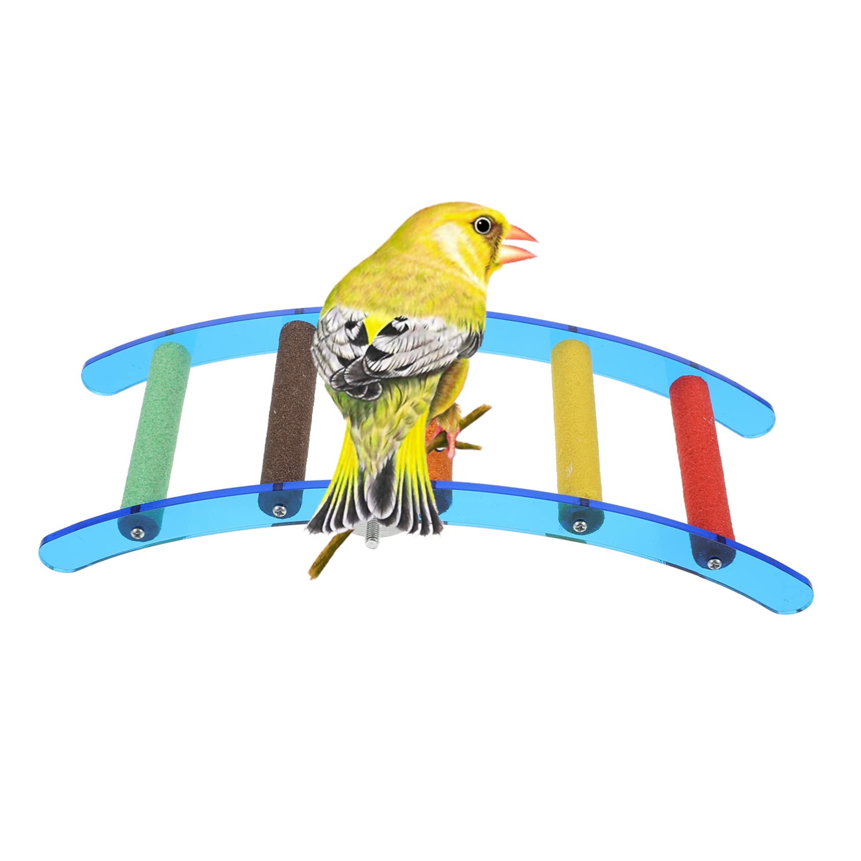 Totority Parrot Ladder Stand Bird Playing Toy Safe Chewing Material Parrot Accessory
