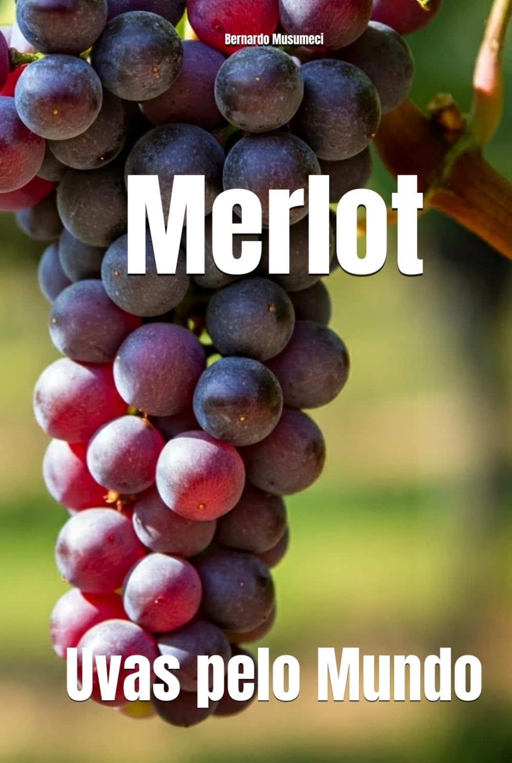 Merlot: Uvas pelo Mundo (Wines of the World: France)
