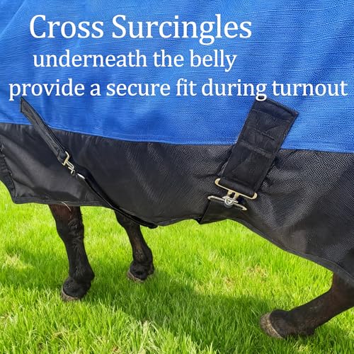 Image of Mini Horse /Pony /Donkey /Miniatur Horse Turnout Blanket, 1600D 220g Fill | Winter Turnout Blanket for Foal & Pony, Waterproof with Secure Adjustable Fit, Ideal for Stables, Paddock and Outdoor Turnout