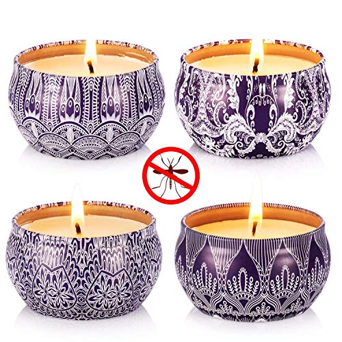 Hausware Citronella Candles Outdoor and Indoor Scented Candles Gift Set 4 Pack Soy