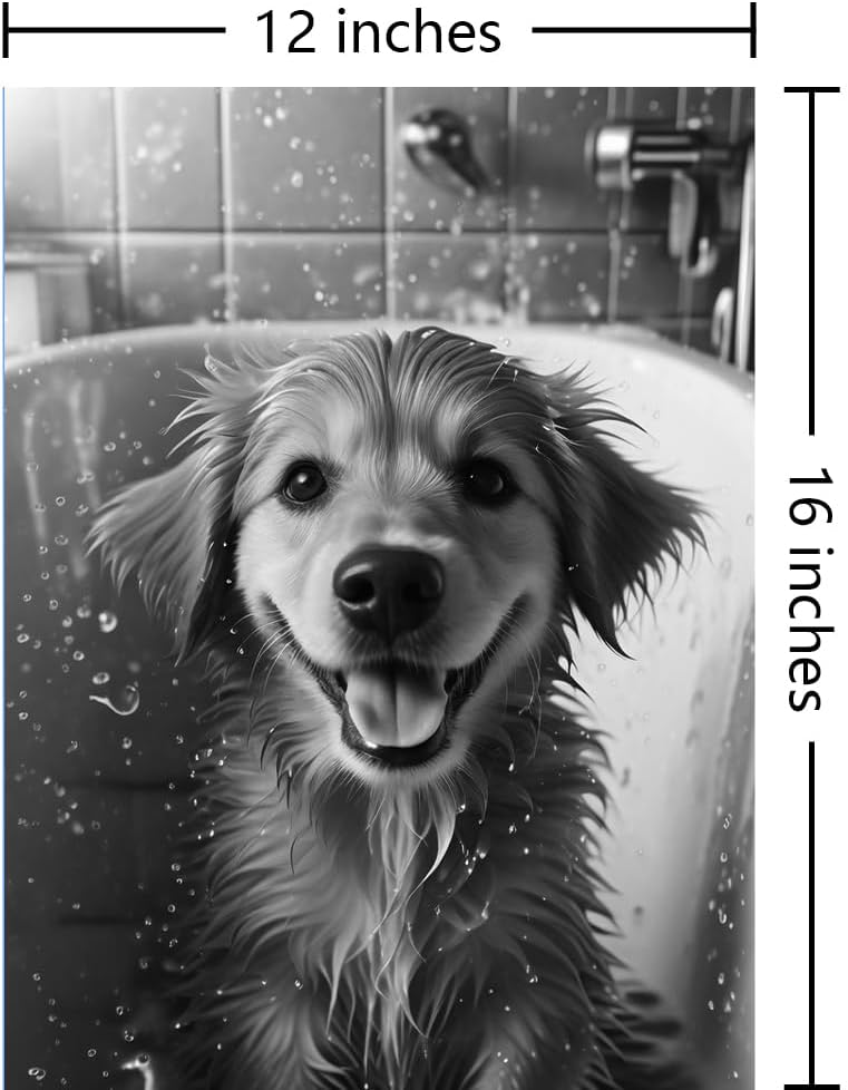https://m.media-amazon.com/images/I/61pUPZXMJCL._AC_SL1000_.jpg
