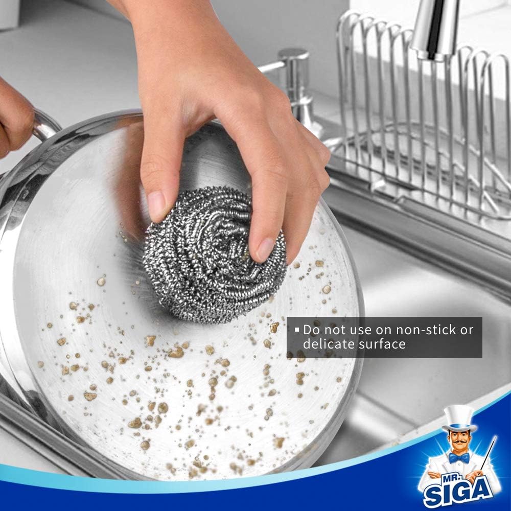 Stainl Steel Scourer