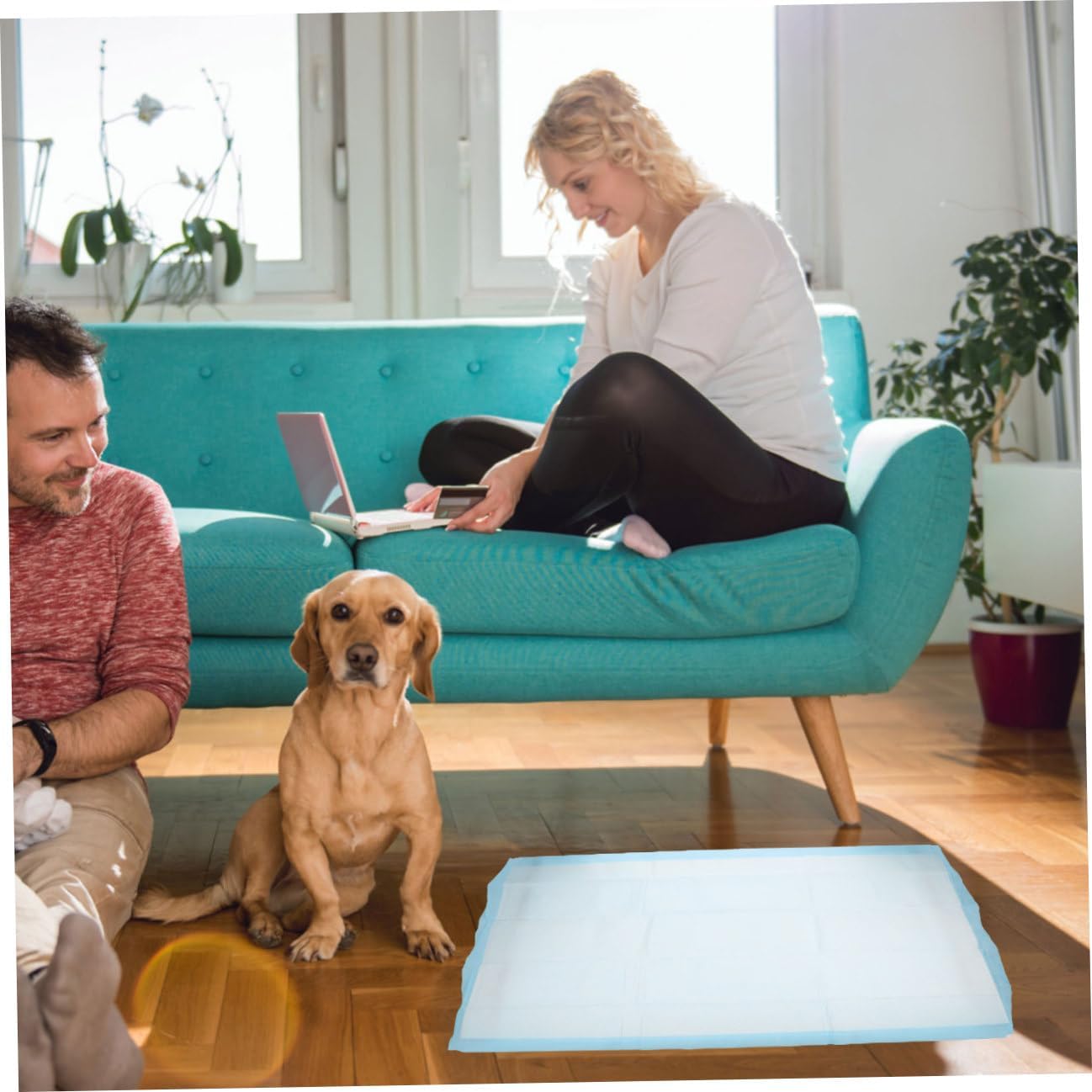 POPETPOP 20pcs Pet Urine Pads Disposable Dog XLarge Leak Strong Absorption Washable Diaper Mat