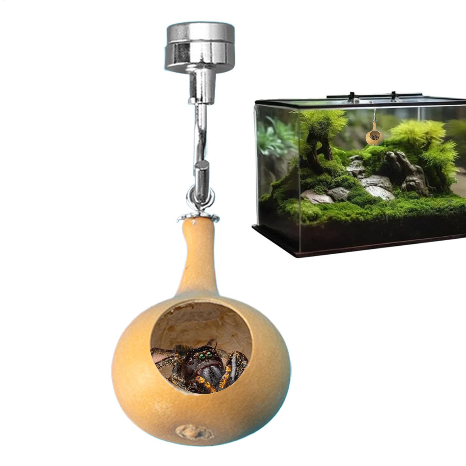 Jumping Spider Cave Safe Home, Natural Gourds Jumping Spider Hide Accessories, Jumping Spider Enclosure Magnetic Shelter For Small Reptile