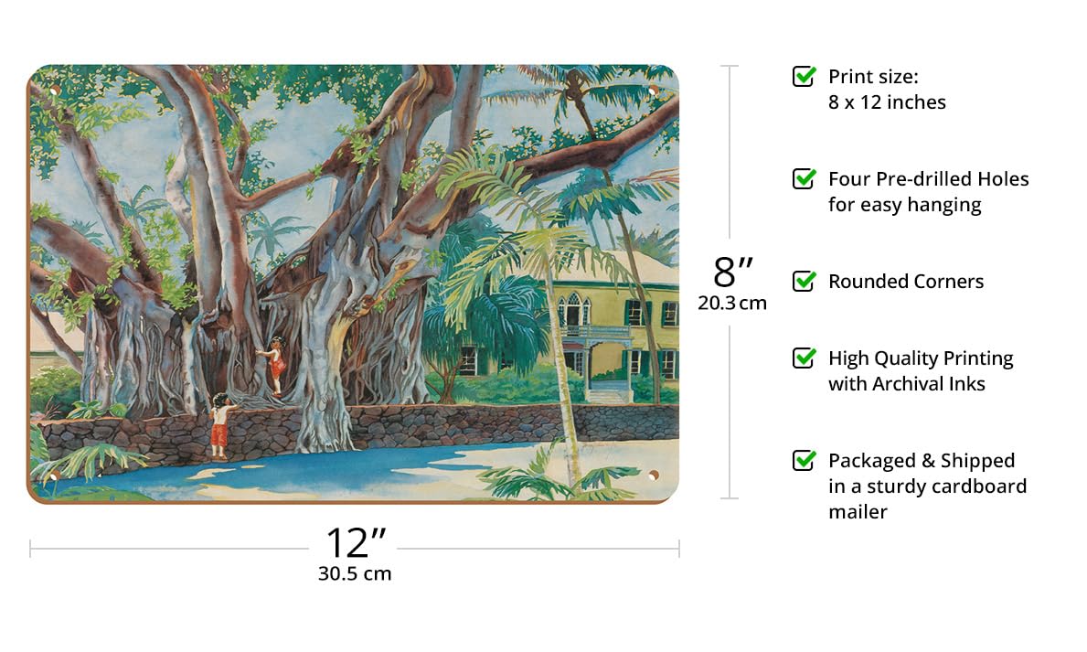 Banyan tree ハワイ 大きな 木 絵 Amazon co jp ハワイのマウイ島の
