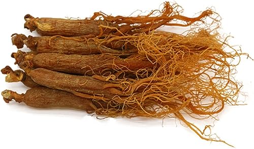 Raíz de ginseng rojo, ginseng rojo de Corea, raíz de ginseng rojo coreano, raíz de ginseng coreano rojo orgánico natural, raíz de ginseng radix de