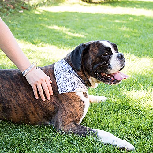 Pettsie Matching Dog Collar & Bandana & Owner Friendship Bracelet, Gift Box Included, Durable Hemp, 3 Adjustable Sizes, Comfortable And Soft, Strong D-Ring For Easy Leash Attachment (L, Dark Blue) #TOP1