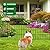 25 Pack Decorative Garden Fence Total 27ft (L) x 24in (H) 1.44" Gap Metal Wire Rustproof Animal Barrier Dog Rabbit Fence Flower Bed Landscape Fencing Patio Yard Protection Fencing Border Black