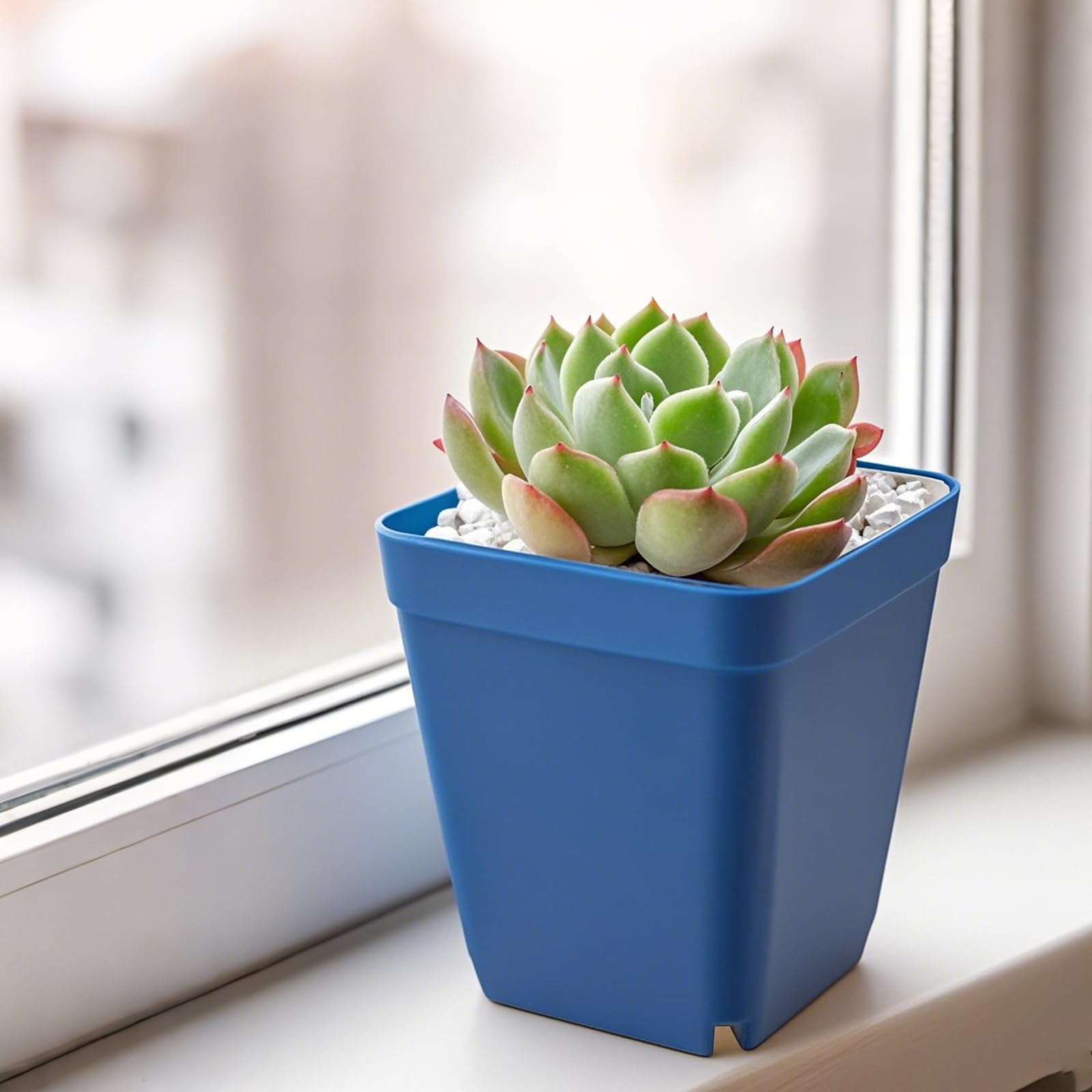 FUNSUEI Lot de 100 pots carrés en plastique de 7,9 cm avec trous de drainage, petits pots de plantation pour germination, transplantation - Bleu