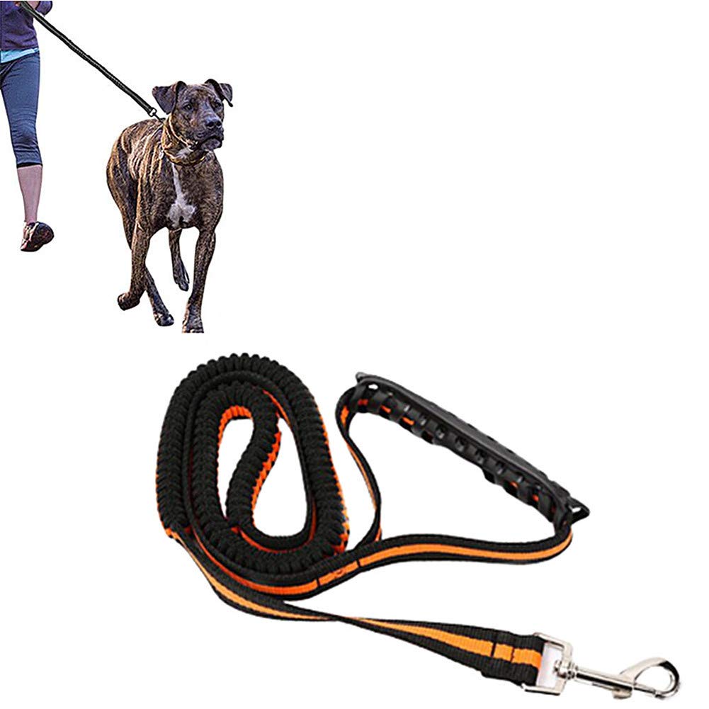 Correa para correr para perros Correa larga para adiestramiento de perros Correa para adiestramiento de perros Correa para adiestramiento de perros Correa para perros para correr Correa para perros