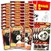 DreamWorks Kung Fu Panda Mini Party Favors Set - Bundle with 24 Kung Fu Panda Play Packs with Coloring Pages, Stickers, More | Kung Fu Panda Party Supplies