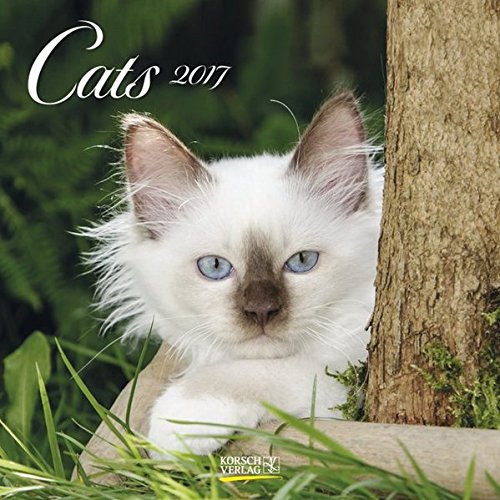 Cats 2017: Broschürenkalender mit Ferienterminen