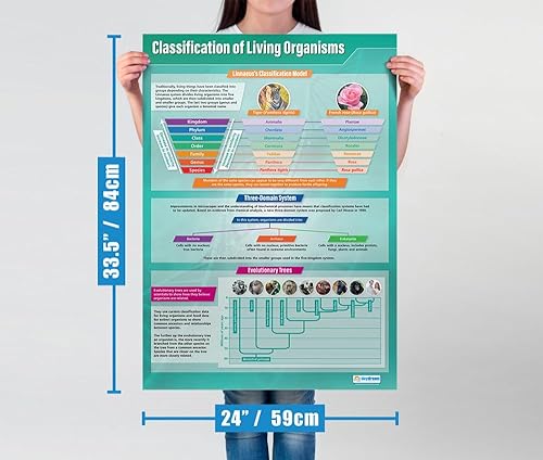 Miniatura 3 de Daydream Education Póster de clasificación de organismos vivos, papel brillante, formato grande, 33 x 23.5 pulgadas, decoración de aula STEM,