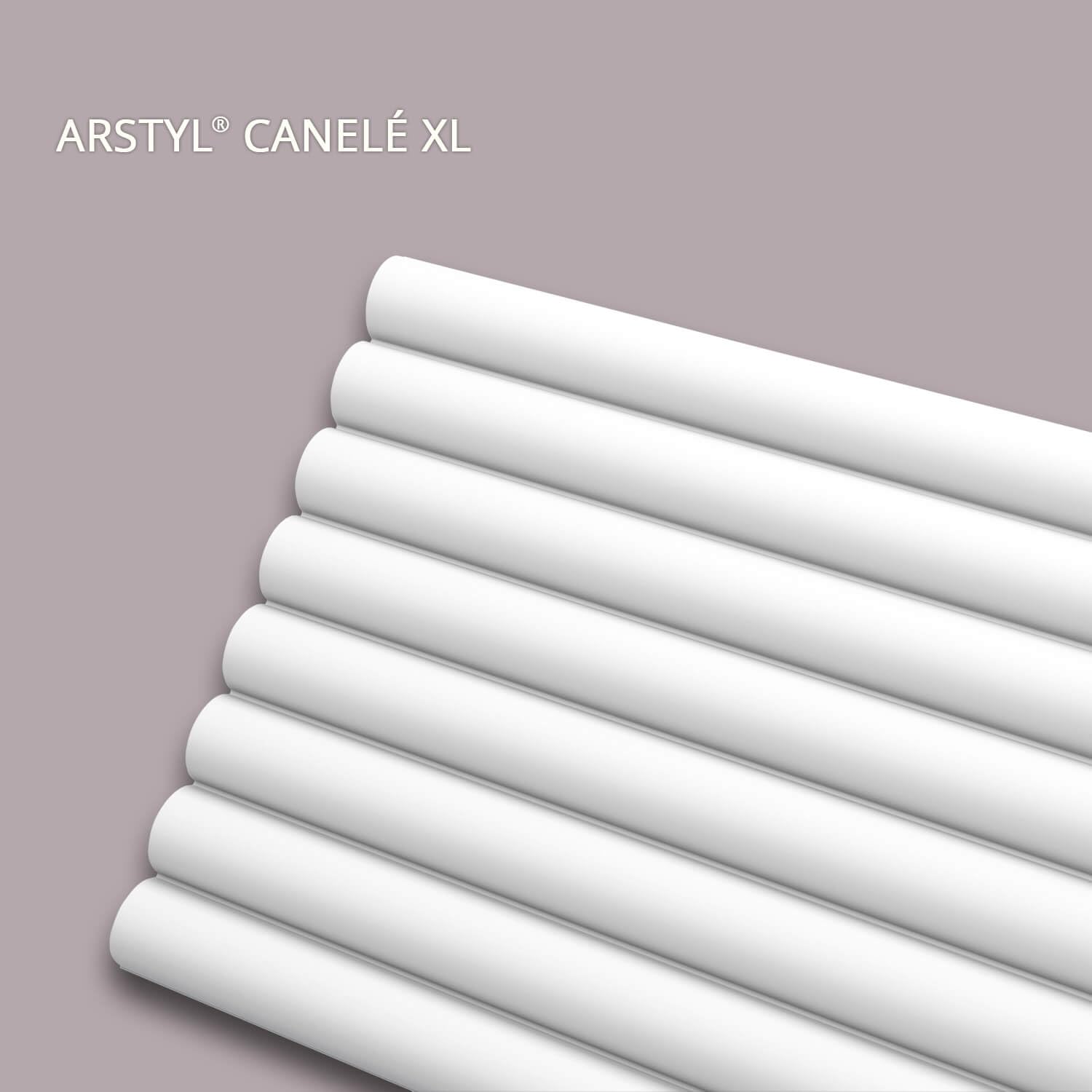 CANELE XL ARSTYL Paneles murales - 24 x 300 x 2000 mm - NOËL & MARQUET - una marca de NMC - Poliuretano