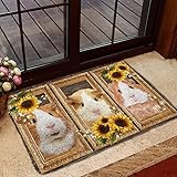 🐾 Un regalo estupendo y cómodo Ideal: el felpudo de poliéster es una buena opción para decorar tu casa con calidez y personalidad. Estos novedosos felpudos pueden ser un excelente complemento para cualquier hogar. Es realmente un felpudo estupendo y sencillo para uso interior y exterior.