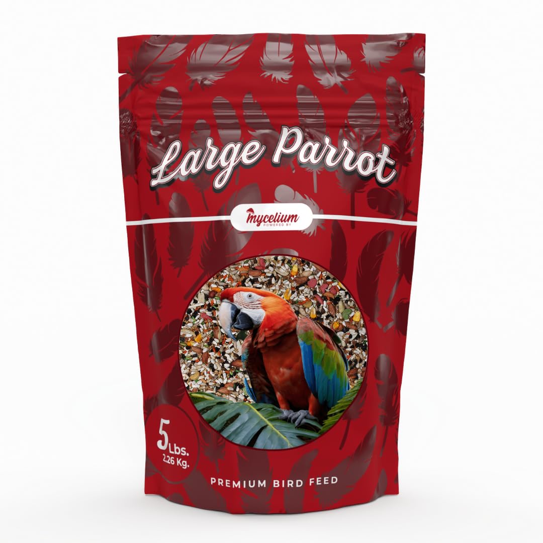 Parrot Plus Snapklik.com : Mycelium Large Parrot Plus Bird Seed High In Protein ...