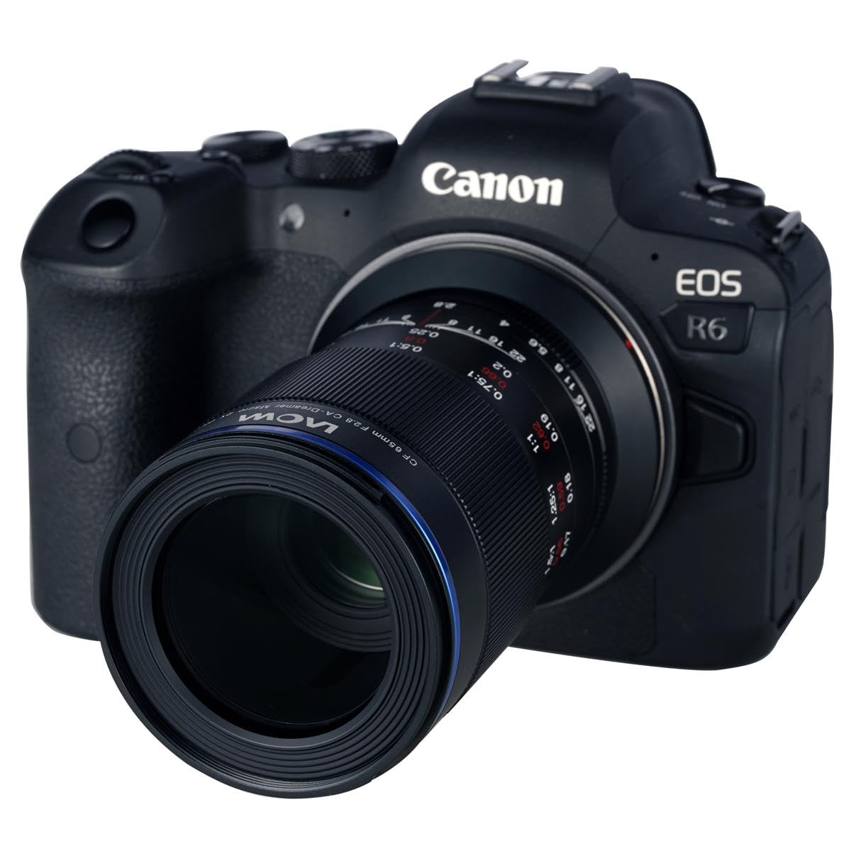 Amazon.com : Laowa 65mm f/2.8 2X Ultra Macro APO Lens (Canon EF-M