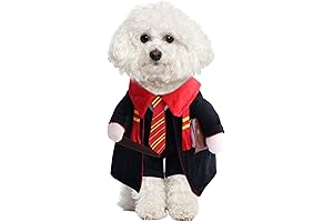 DELIFUR Dog Halloween Wizard Costume - The Perfect Doggy Disguise