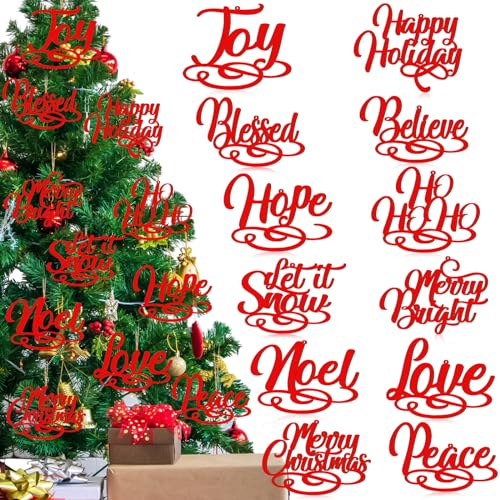 Suzile 12 Pcs Christmas Wooden Cutout Blessed Word Signs for Christmas...