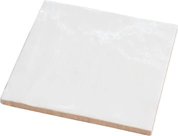 Apollo Tile 5.2 x 5.2 in. Subway White Glossy Ceramic Tile 57-Pack APLEC61 for Bathroom and Shower Walls/Floors, Kitchen Backsplash, Garage Walls, Steam Room, Heat Areas