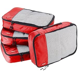 Amazon Basics 4 Piece Packing Travel Organizer Zipper Cubes Set, Medium, Red