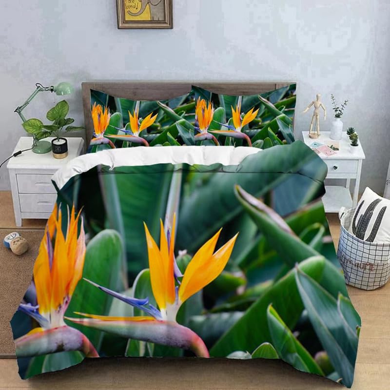 Housse de couette 240 x 260 vert foncé pour chambre zen