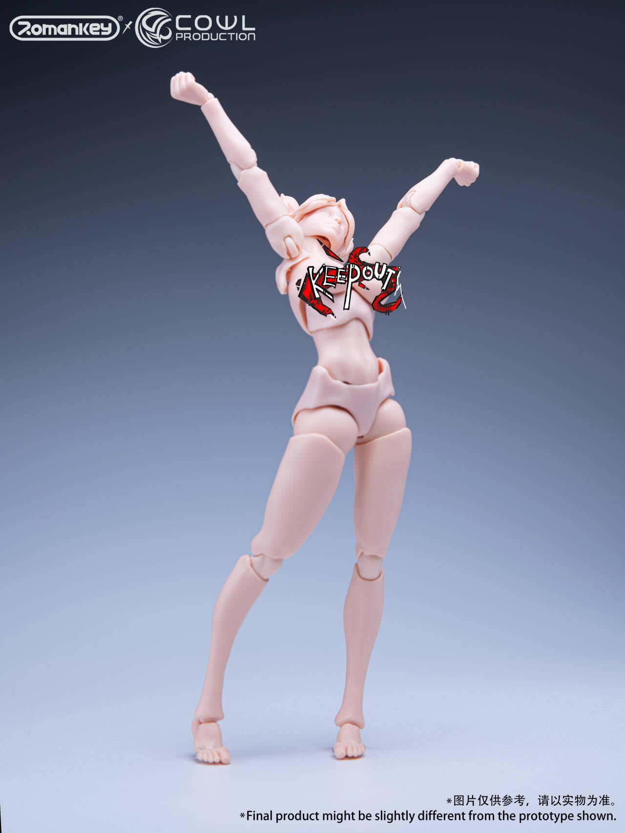 Amazon.co.jp: Romankey X COWL 1/12 フィギュア 女性 超可動 少女 素