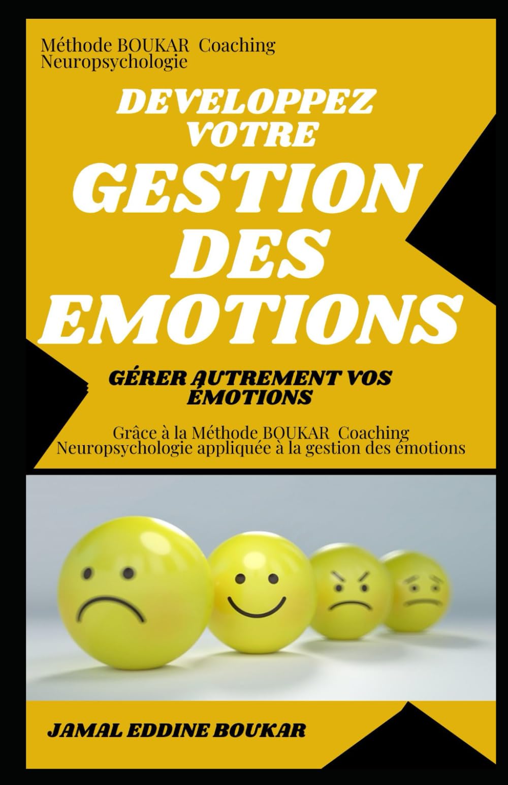 Développez votre Gestion des Emotions: Gérer autrement vos émotions