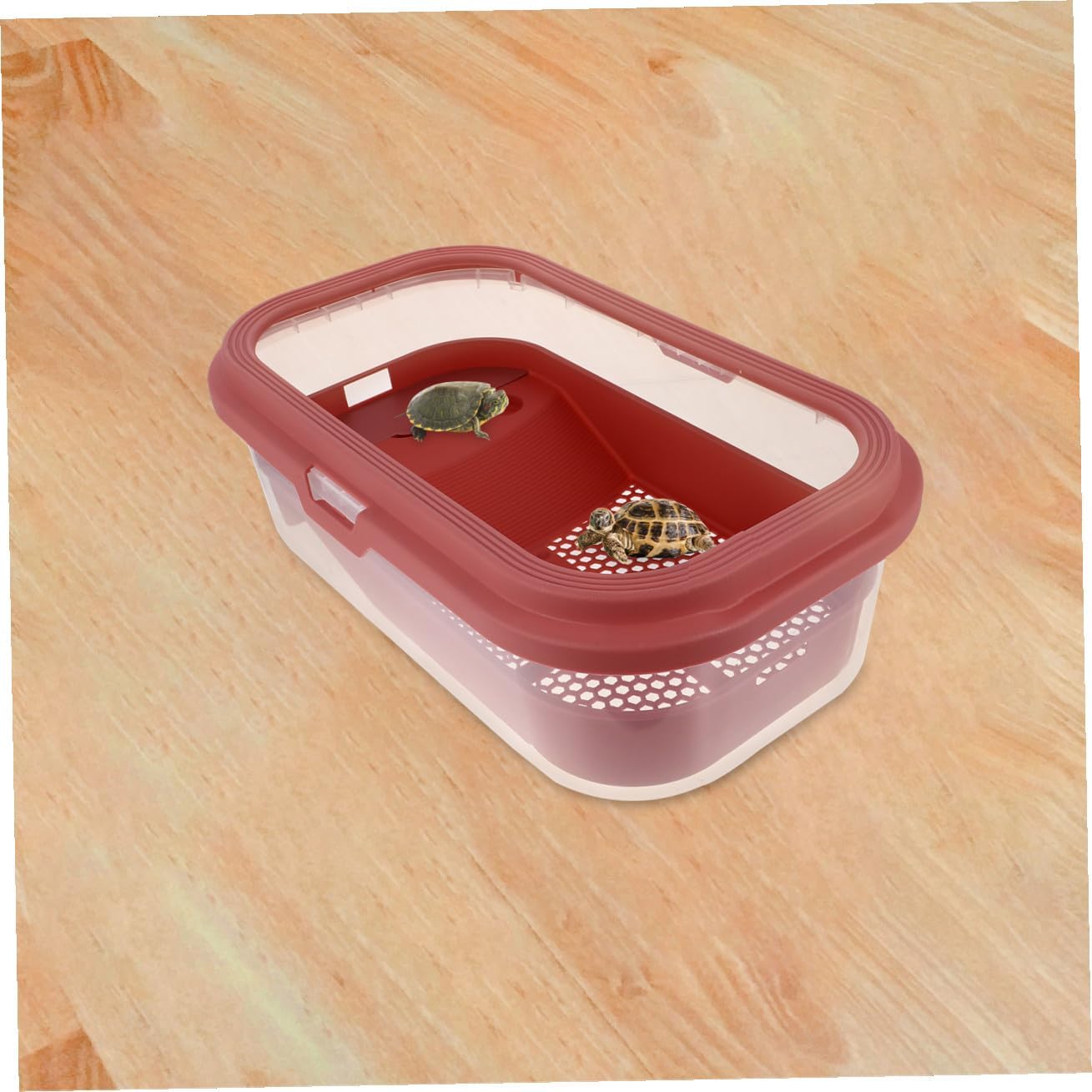 Turtle Live Breeding Box Aquarium Tank Turtle Tank Kit Feeding Container