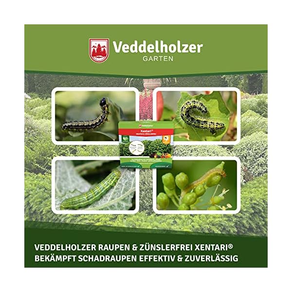 Veddelholzer Xentari® 8 x 2g Raupen & Zünslerfrei gegen Buchsbaumzünsler, Raupen & Schadraupen. Xentari Raupenfrei Buchsbaumzünsler Spritzmittel für Bio Landbau geeignet Nicht Bienengefährlich. – Bild 3