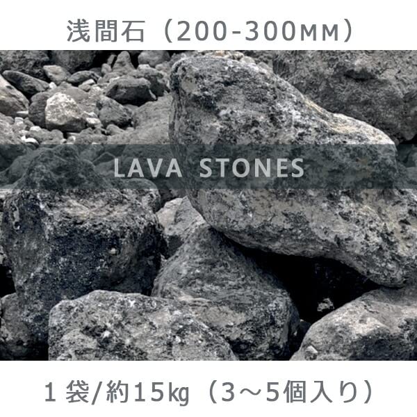 Amazon.co.jp: 庭石 ロックガーデン 浅間石（200～300mm）3～5個入り 1